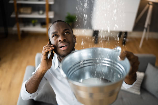 Best Flooded house restoration  in Cementon, PA