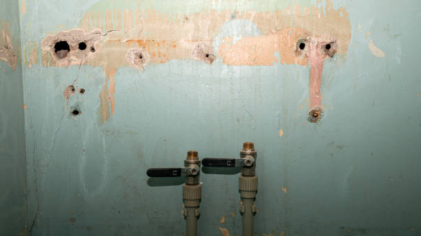 Best Water damage restoration experts  in Cementon, PA