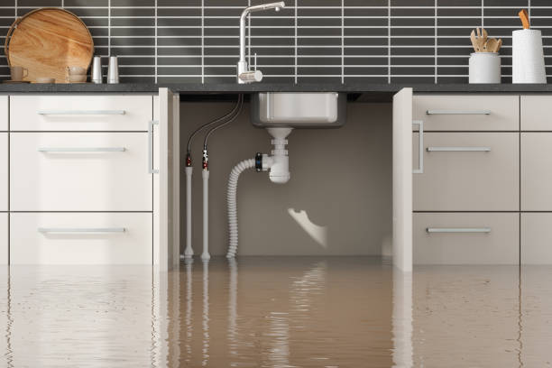 Best Water damage cleanup near me  in Cementon, PA
